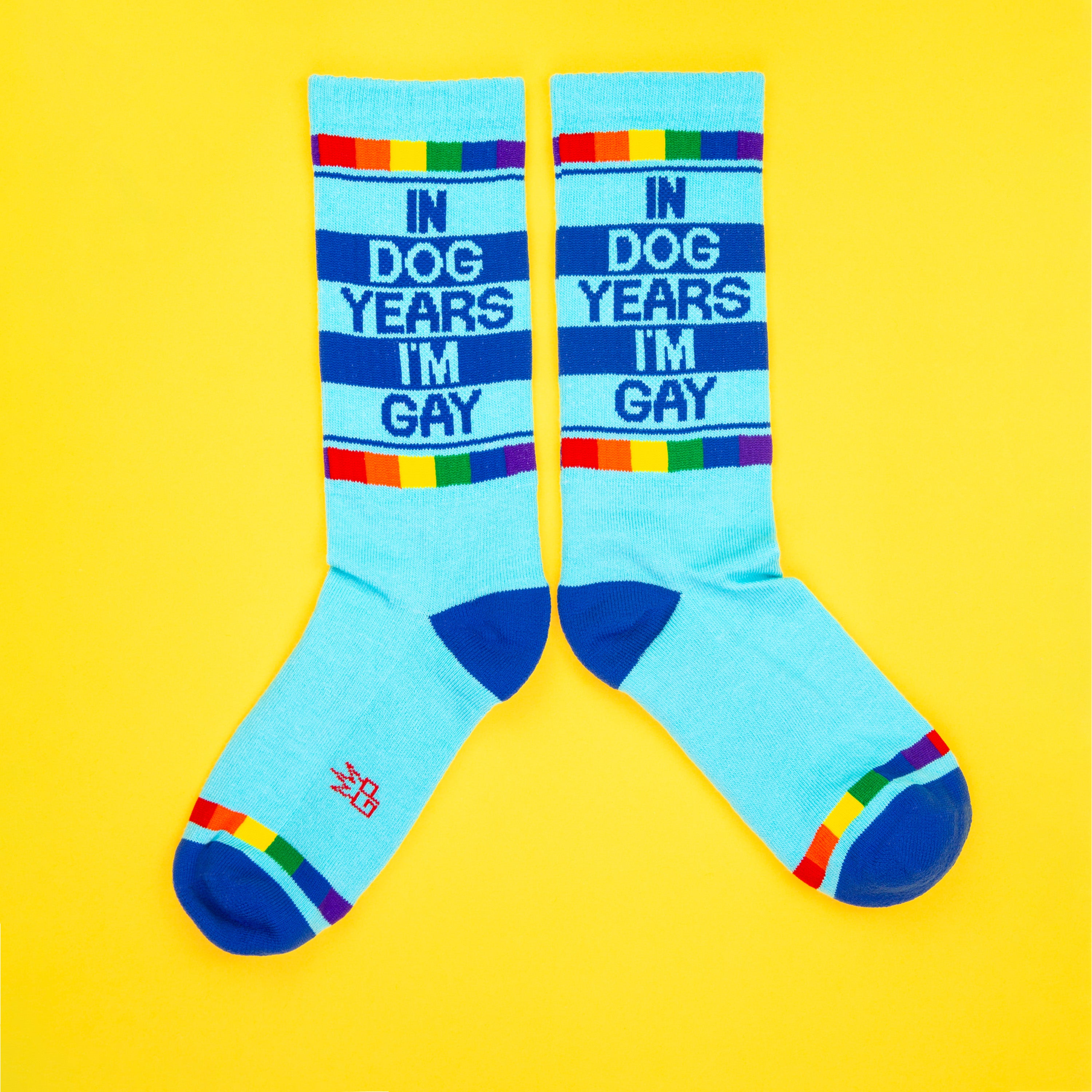IN DOG YEARS I'M GAY
