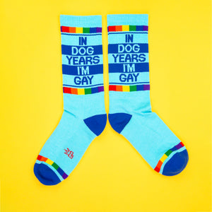IN DOG YEARS I'M GAY