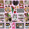 Love Sticker Pack