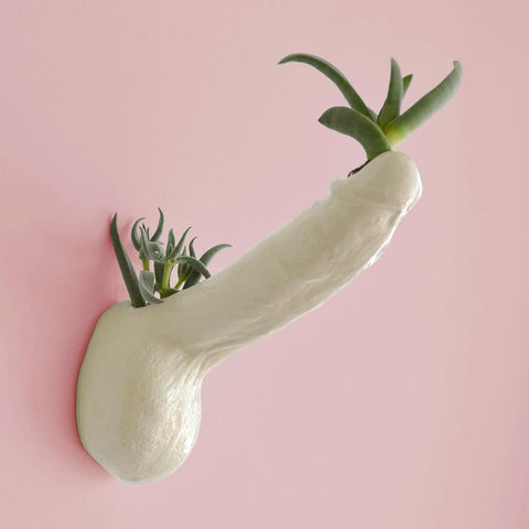 SUCCULENT C*CK WALL-MOUNTED PLANTERS
